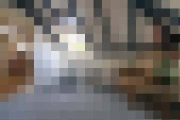 Scheuterdijk 33 Eefde thumbnail 61