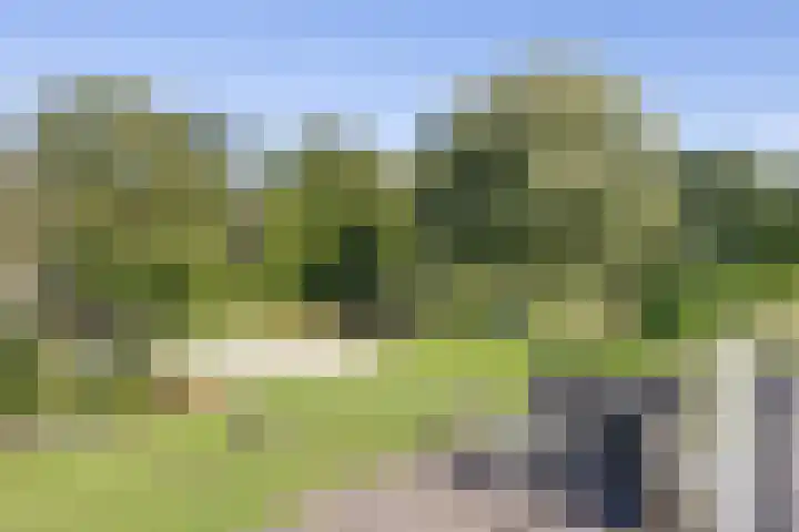 Scheuterdijk 33 Eefde thumbnail 62
