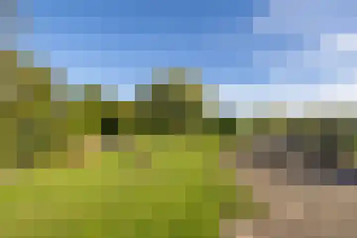 Scheuterdijk 33 Eefde thumbnail 68