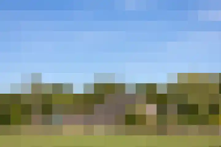 Scheuterdijk 33 Eefde thumbnail 7