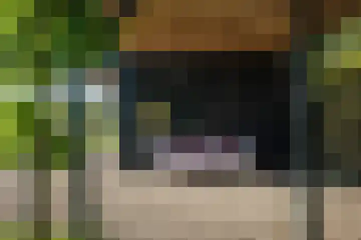 Scheuterdijk 33 Eefde thumbnail 77