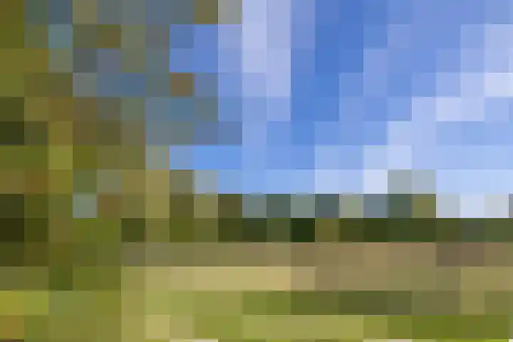 Scheuterdijk 33 Eefde thumbnail 78