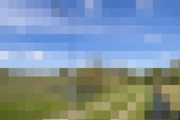 Scheuterdijk 33 Eefde thumbnail 79