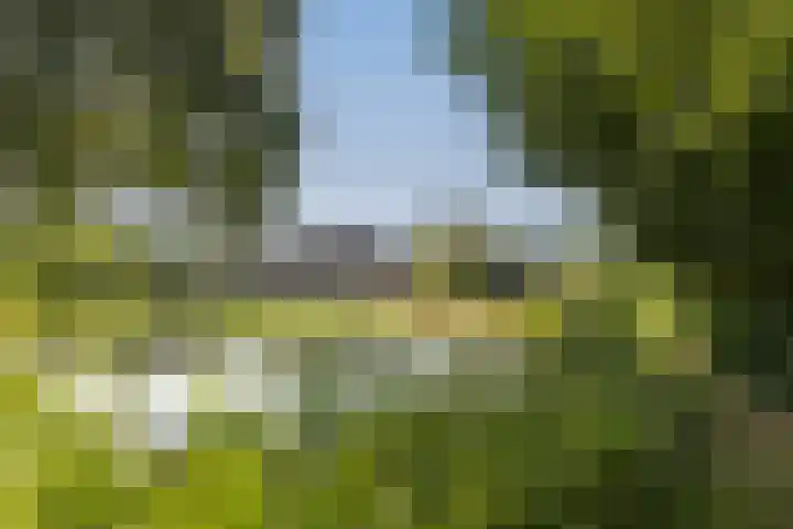 Scheuterdijk 33 Eefde thumbnail 9