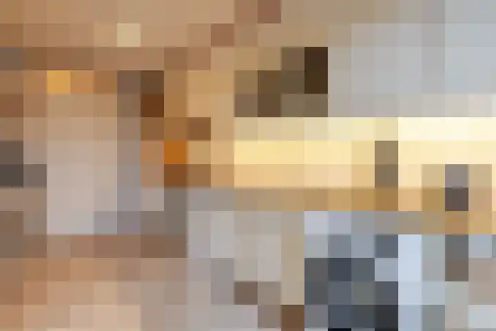 Scheuterstraat 12 Rheden thumbnail 10