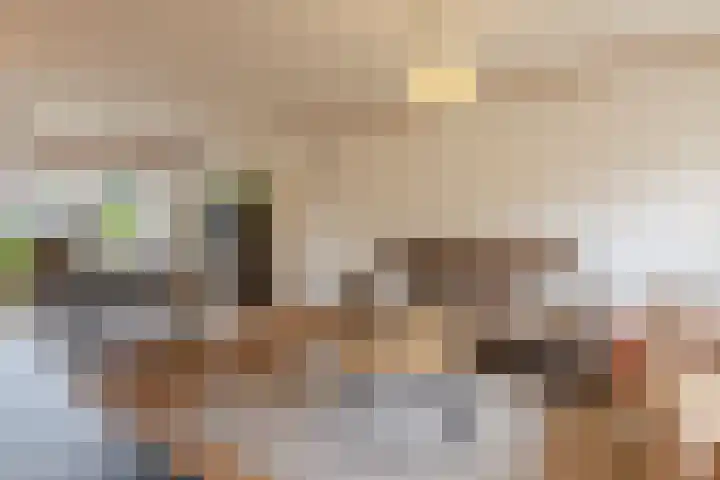 Scheuterstraat 12 Rheden thumbnail 7