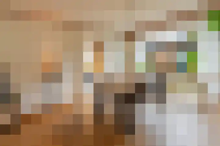 Scheuterstraat 12 Rheden thumbnail 9