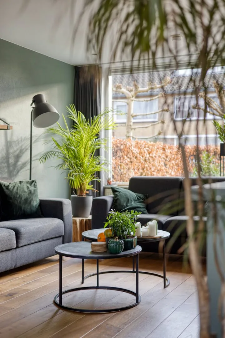 Scheuterstraat 30 Rheden thumbnail 12