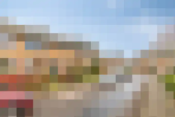 Scheuterstraat 31 Rheden thumbnail 5