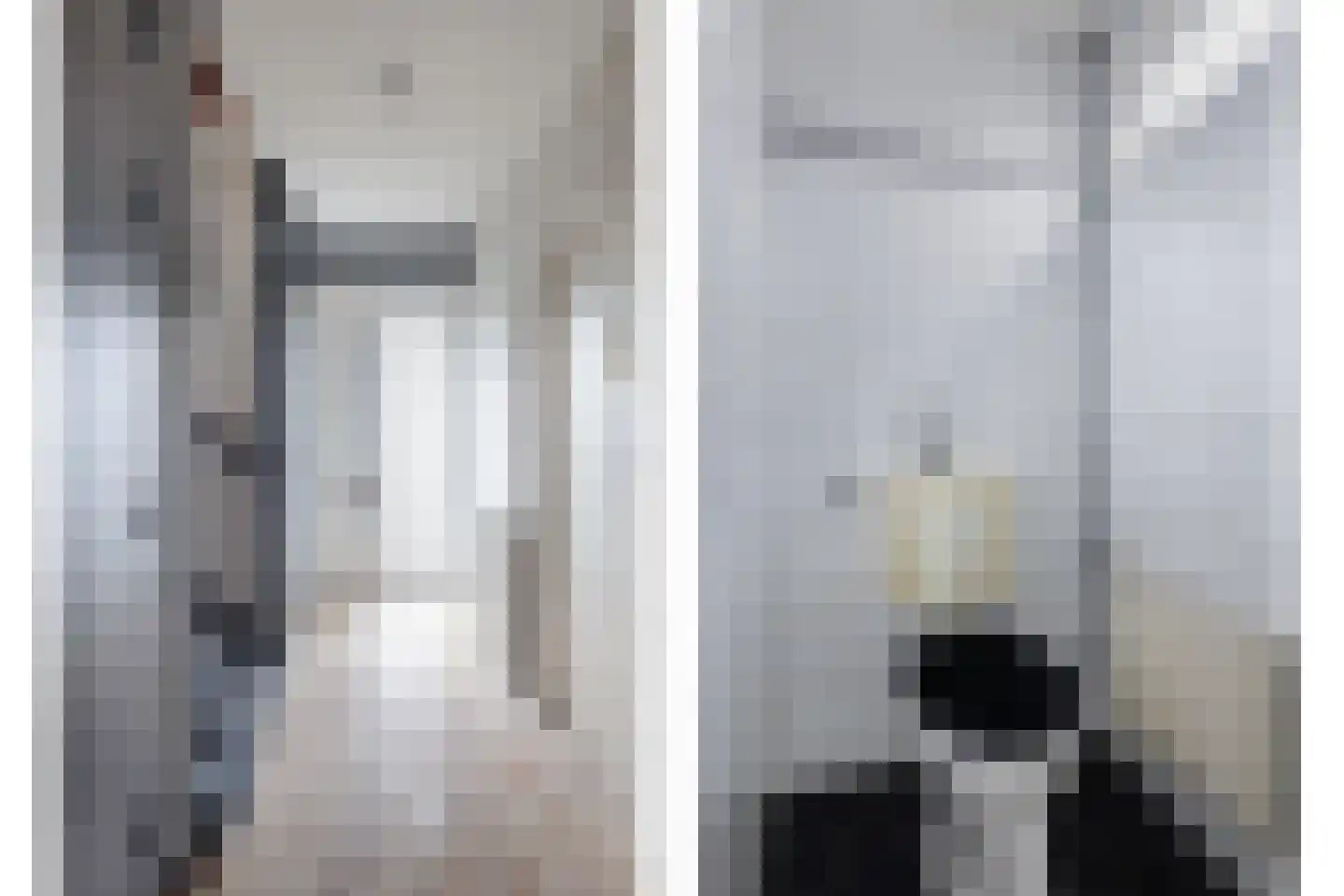 Scheuterstraat 5 Rheden thumbnail 10
