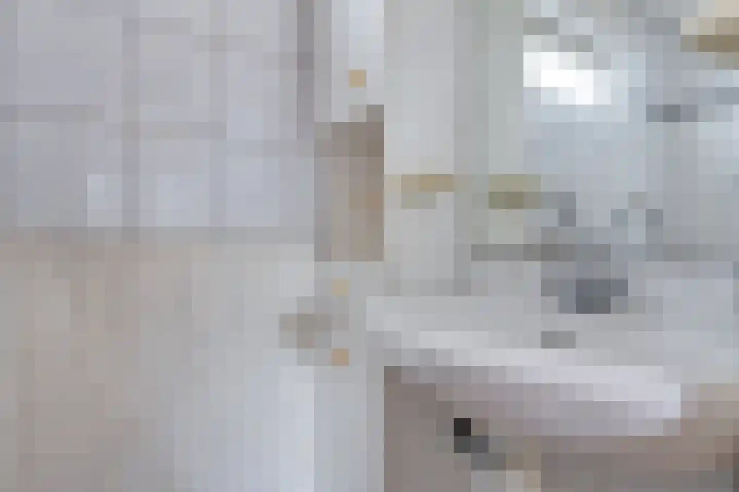 Scheuterstraat 5 Rheden thumbnail 24