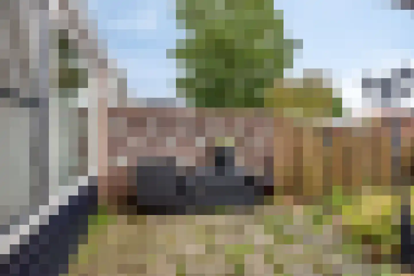 Scheuterstraat 5 Rheden thumbnail 34