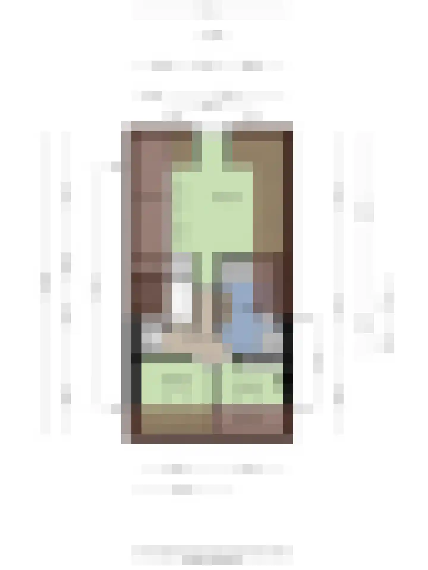 Scheuterstraat 5 Rheden thumbnail 39