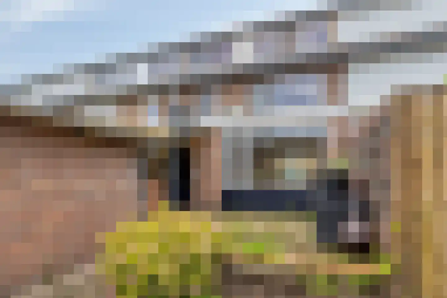 Scheuterstraat 5 Rheden thumbnail 5