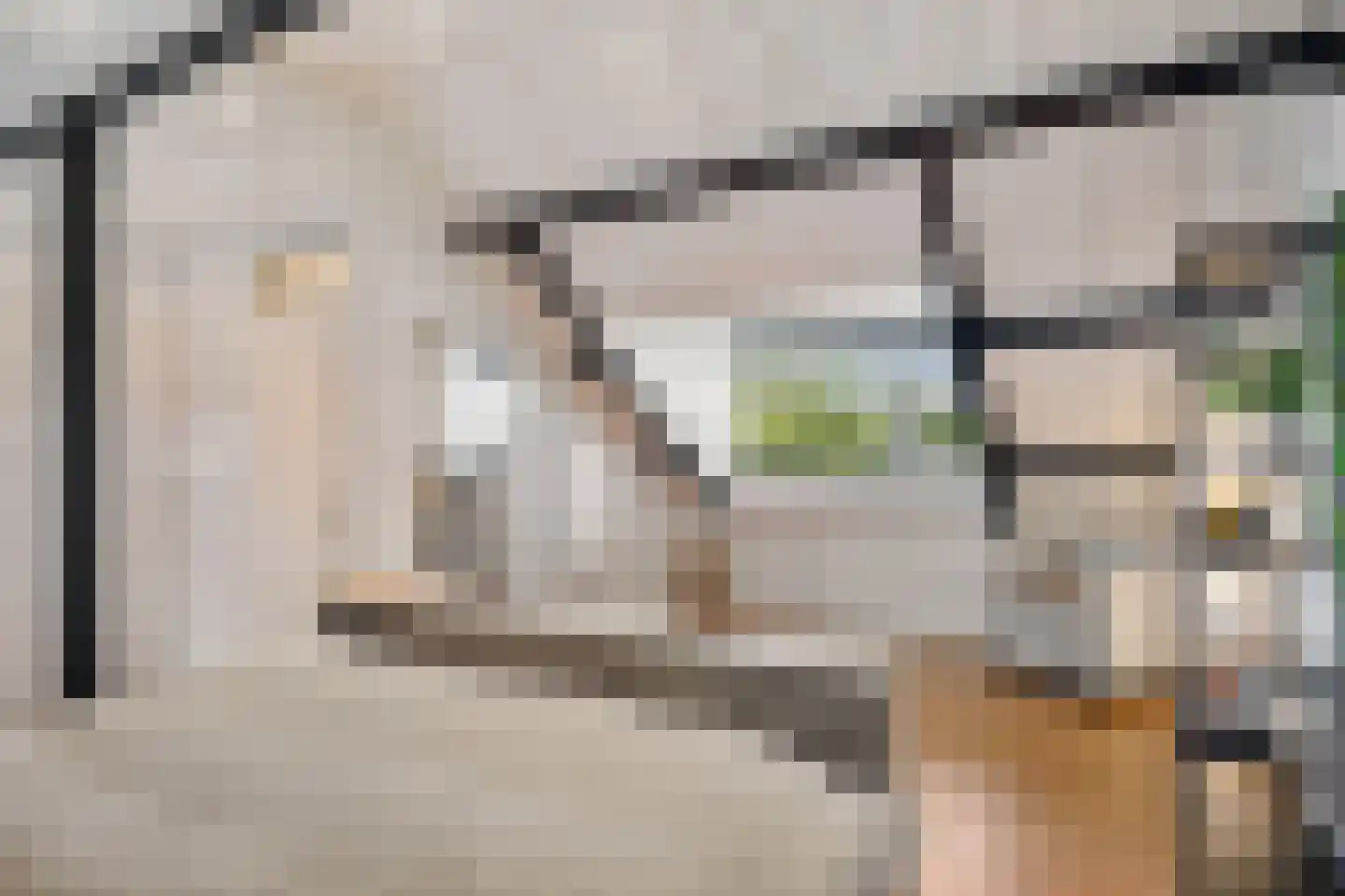 Scheveningsebos 29 Zoetermeer thumbnail 32