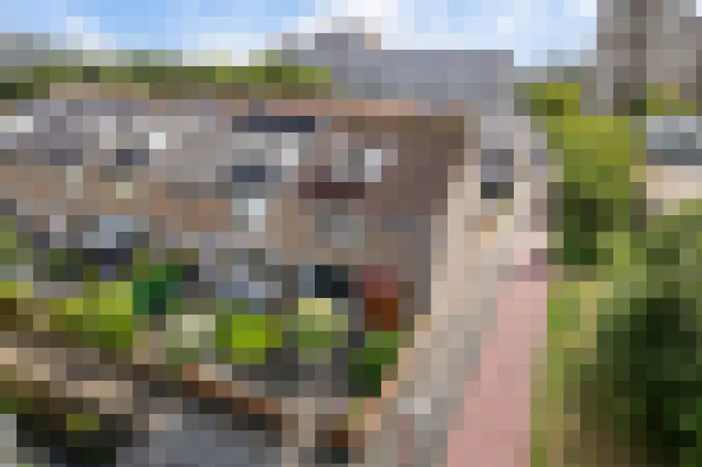 Scheveningsebos 29 Zoetermeer thumbnail 39