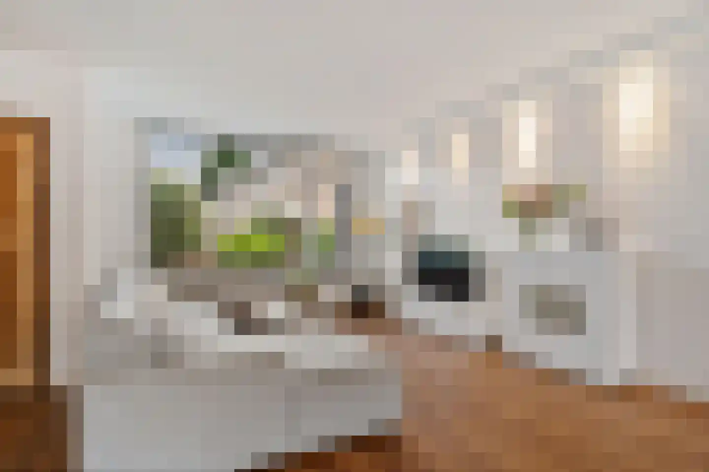 Scheveningsebos 29 Zoetermeer thumbnail 7