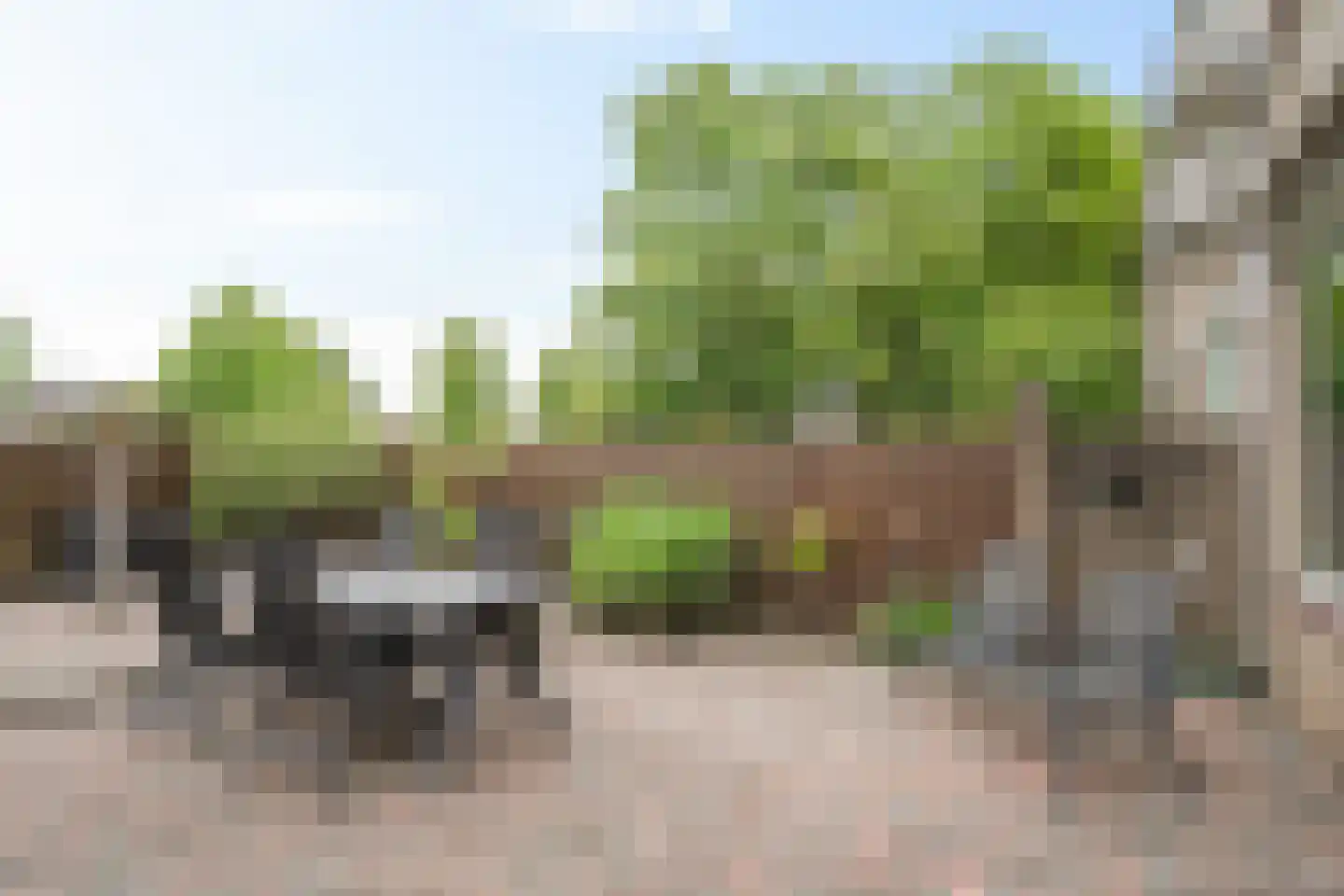 Scheveningsebos 51 Zoetermeer thumbnail 22