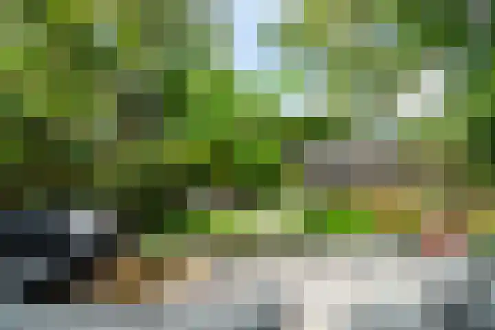 Scheveningsebos 54 Zoetermeer thumbnail 16