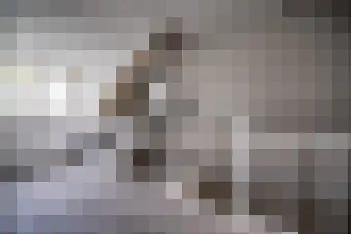 Scheveningsebos 54 Zoetermeer thumbnail 30