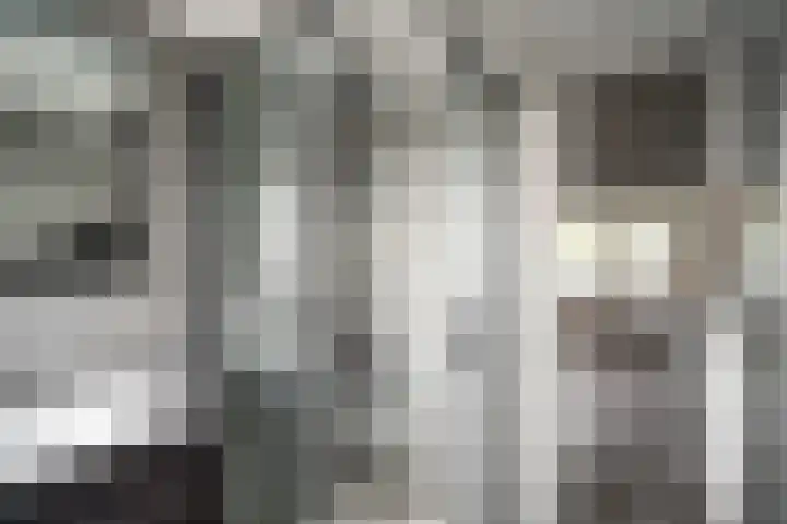 Scheveningsebos 54 Zoetermeer thumbnail 33