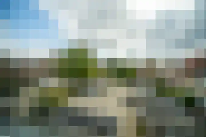 Scheveningsebos 54 Zoetermeer thumbnail 34