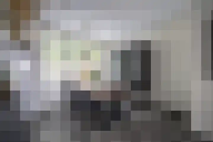 Scheveningsebos 54 Zoetermeer thumbnail 4