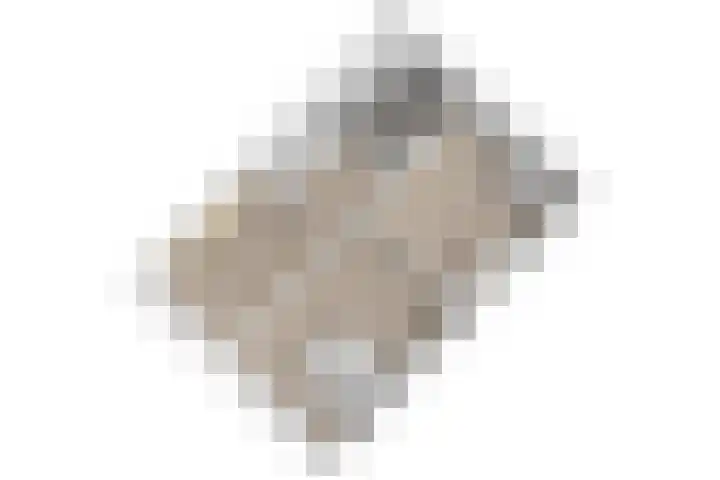 Scheveningsebos 54 Zoetermeer thumbnail 48