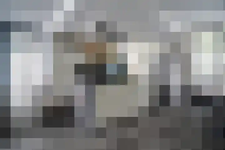Scheveningsebos 54 Zoetermeer thumbnail 6