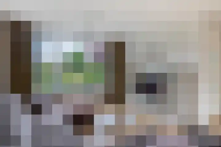 Scheveningsebos 72 Zoetermeer thumbnail 10