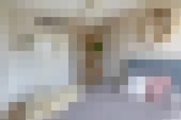 Scheveningsebos 72 Zoetermeer thumbnail 34