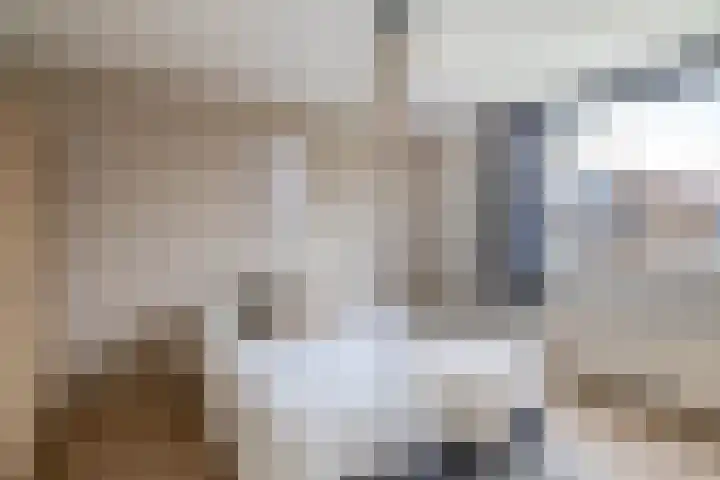 Scheveningsebos 72 Zoetermeer thumbnail 36