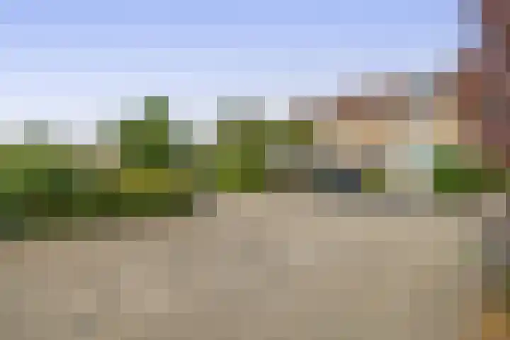 Scheveningsebos 72 Zoetermeer thumbnail 39