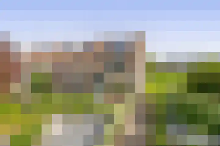 Scheveningsebos 72 Zoetermeer thumbnail 45