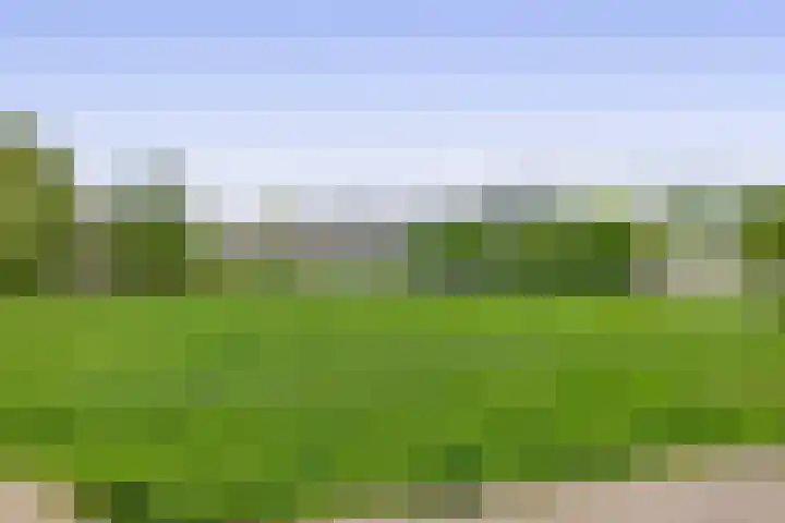 Scheveningsebos 72 Zoetermeer thumbnail 46