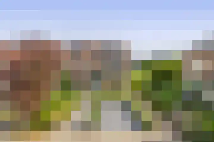 Scheveningsebos 72 Zoetermeer thumbnail 5