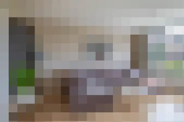 Scheveningsebos 72 Zoetermeer thumbnail 9