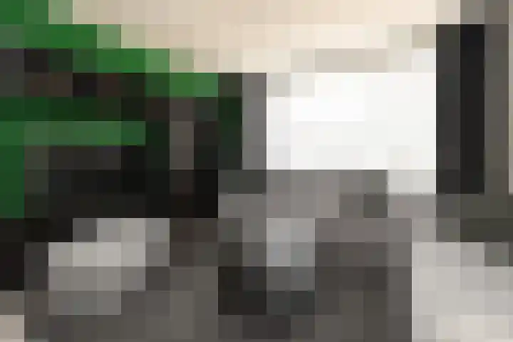 Scheveningsebos 74 Zoetermeer thumbnail 12