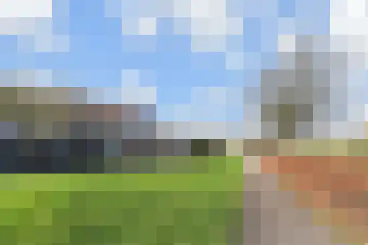 Scheveningsebos 74 Zoetermeer thumbnail 42