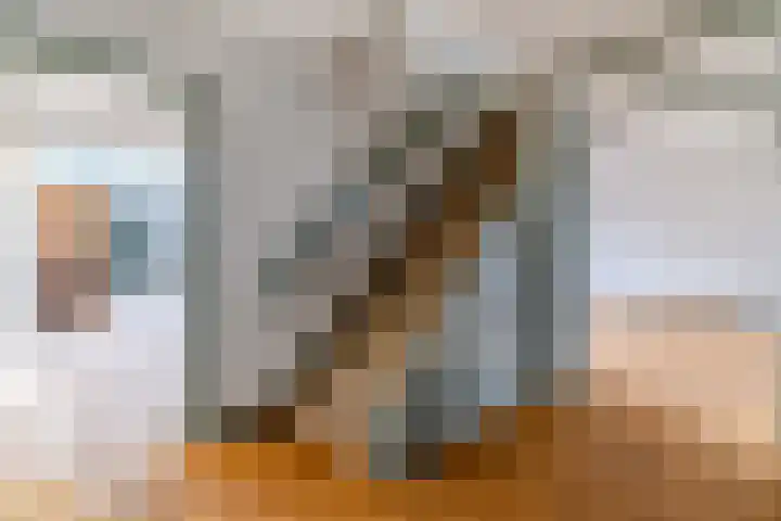 Scheveningselaan 148 Den Haag thumbnail 11