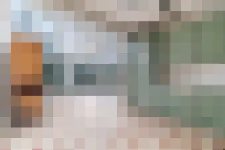 Scheveningselaan 148 Den Haag thumbnail 21