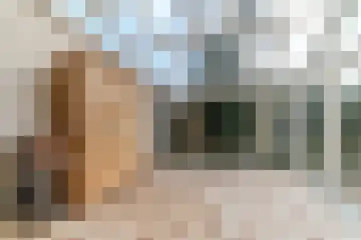 Scheveningselaan 148 Den Haag thumbnail 22