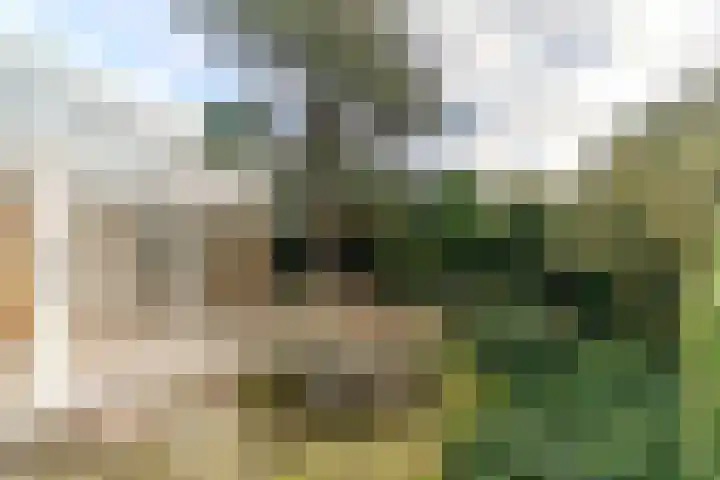 Scheveningselaan 148 Den Haag thumbnail 24