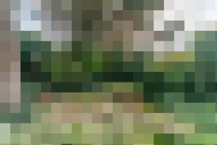 Scheveningselaan 148 Den Haag thumbnail 25