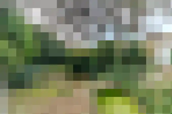 Scheveningselaan 148 Den Haag thumbnail 26