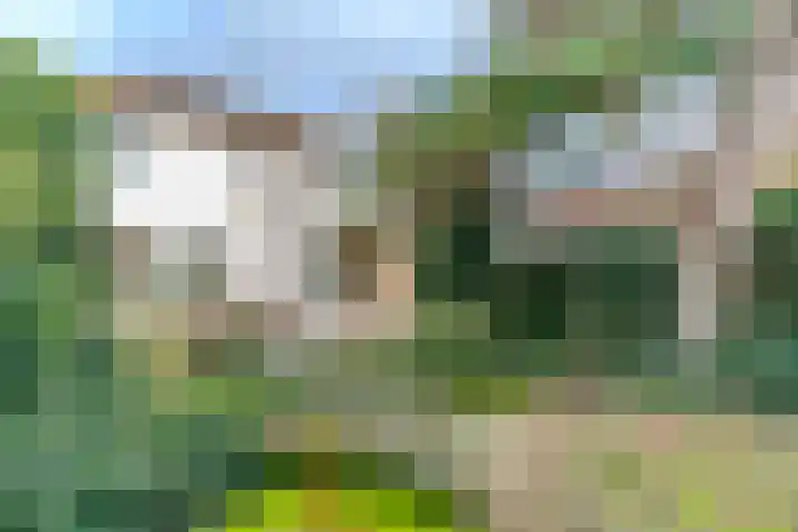 Scheveningselaan 148 Den Haag thumbnail 27