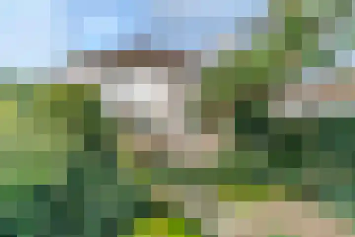 Scheveningselaan 148 Den Haag thumbnail 28