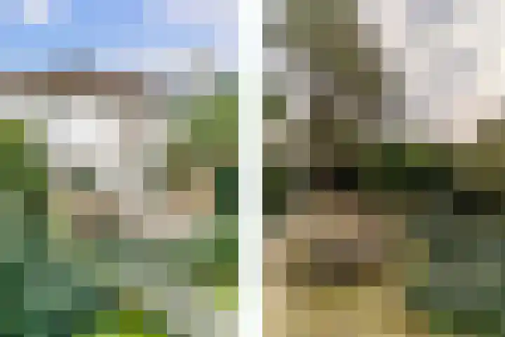 Scheveningselaan 148 Den Haag thumbnail 29