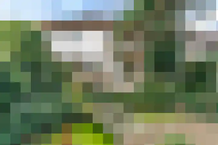 Scheveningselaan 148 Den Haag thumbnail 30