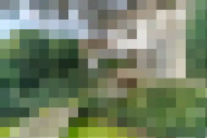 Scheveningselaan 148 Den Haag thumbnail 32